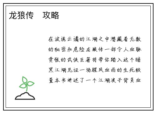 龙狼传   攻略
